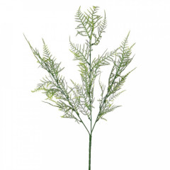 Zápich zeleň asparagus šedý 54 cm