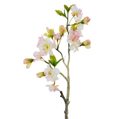 Konár čerešňa bielo-ružová 36 cm
