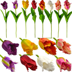 Jarný tulipán 50 cm