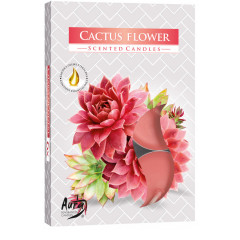Čajové sviečky CACTUS FLOWER 6 ks