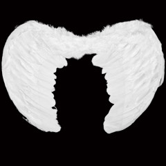 Anjelské krídla biele 53x37 cm