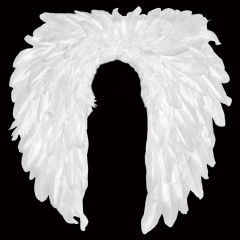 Anjelské krídla biele 47x47 cm