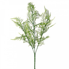 Zápich zeleň asparagus zelený 54 cm