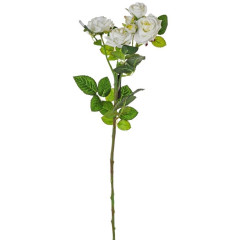 Ruža biela 68 cm