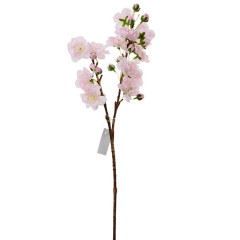 Konár čerešňa ružová 50 cm