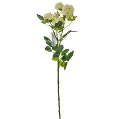 Ruža smotanová 68 cm
