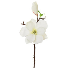 Umelý kvet konár magnólia biela 36 cm