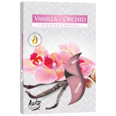 CANDLE CHIC Čajové sviečky VANILLA-ORCHID 6 ks