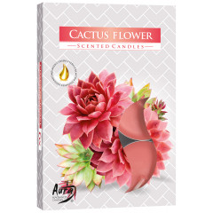 CANDLE CHIC Čajové sviečky CACTUS FLOWER 6 ks