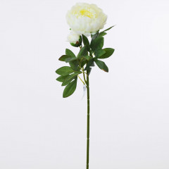 Kvet pivónia krémová 65 cm