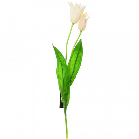 Tulipán kusový 45 cm