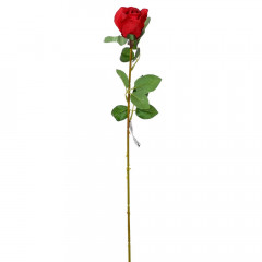 Ruža v puku 60 cm